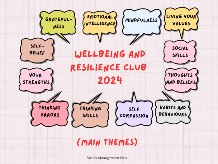 Details of the Wellbeing and Resilience Club